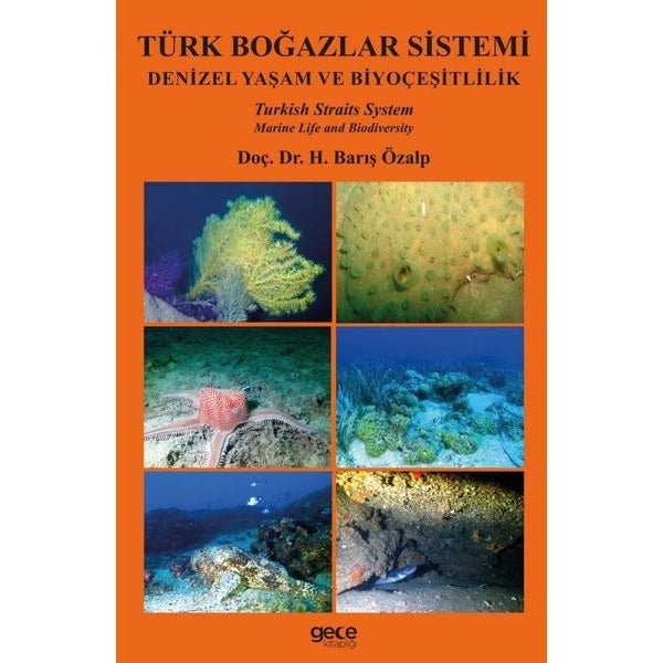 Türk Boğazlar Sistemi