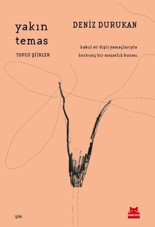 Yakın Temas | Kırmızı Kedi