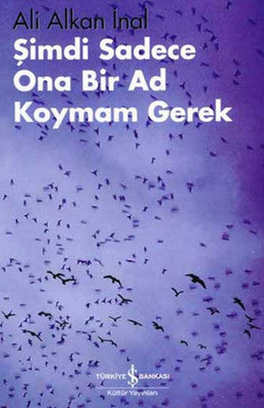 Şimdi Sadece Ona Bir Ad Koymam Gerek | İş Bankası Kültür Yayınları