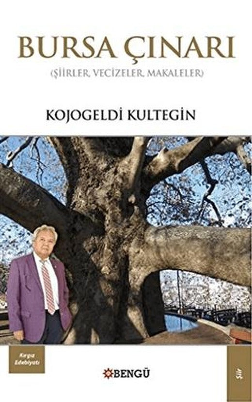Bursa Çınarı