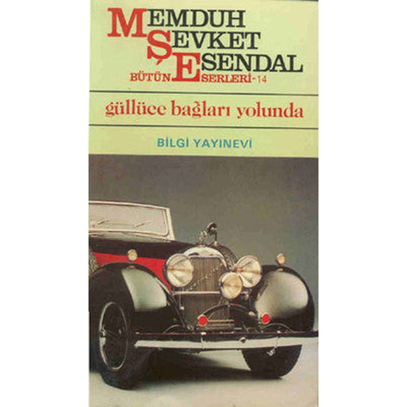 Güllüce Bağları Yolunda | Bilgi Yayınevi