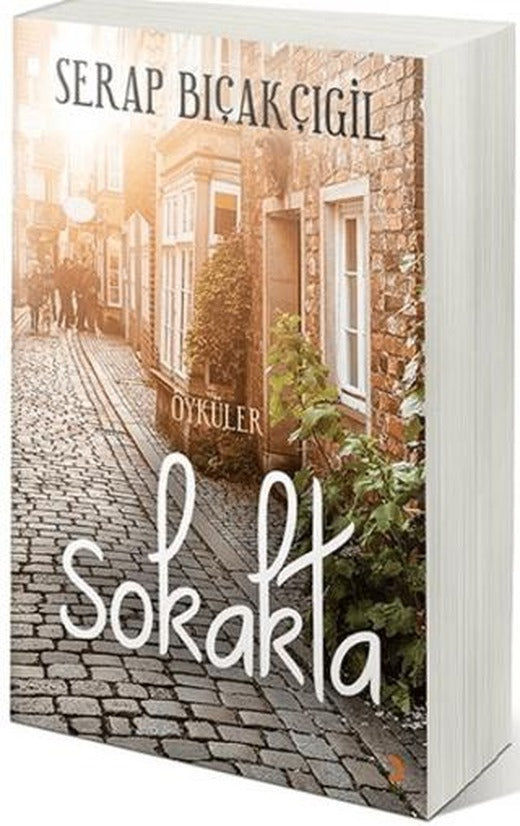 Sokakta | Cinius Yayınları (Ciltsiz)