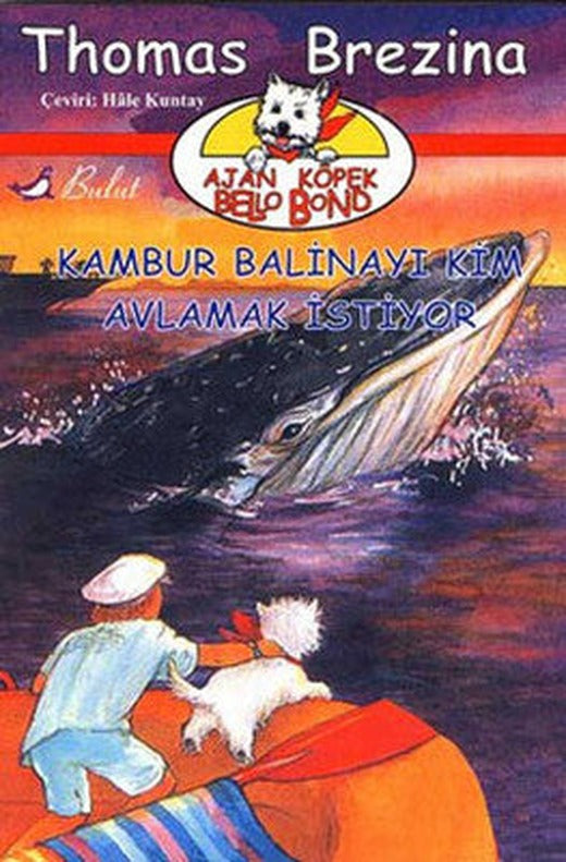 Kambur Balinayı Kim Avlamak İstiyor | Bulut Yayınları