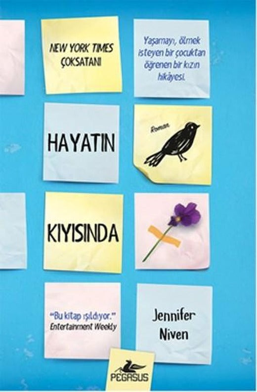 Hayatın Kıyısında | Pegasus (Ciltli)