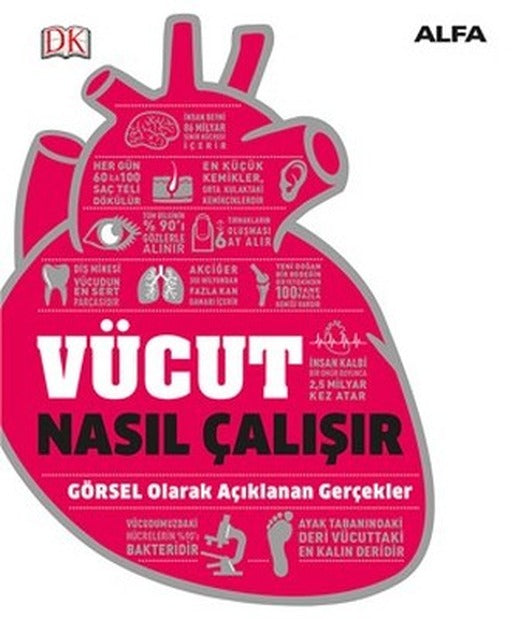 Vücut Nasıl Çalışır? | Alfa Yayınları