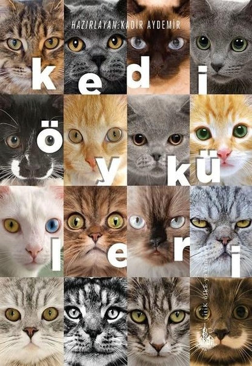 Kedi Öyküleri | Yitik Ülke Yayınları (İnce Kapak)