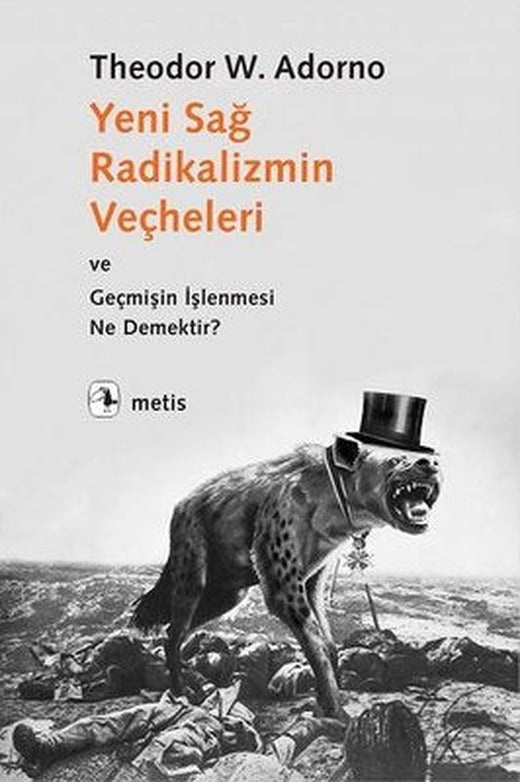 Yeni Sağ Radikalizmin Veçheleri ve Geçmişin İşlenmesi Ne Demektir? | Metis Yayınları