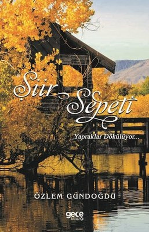 Şiir Sepeti - 3 | Gece Kitaplığı