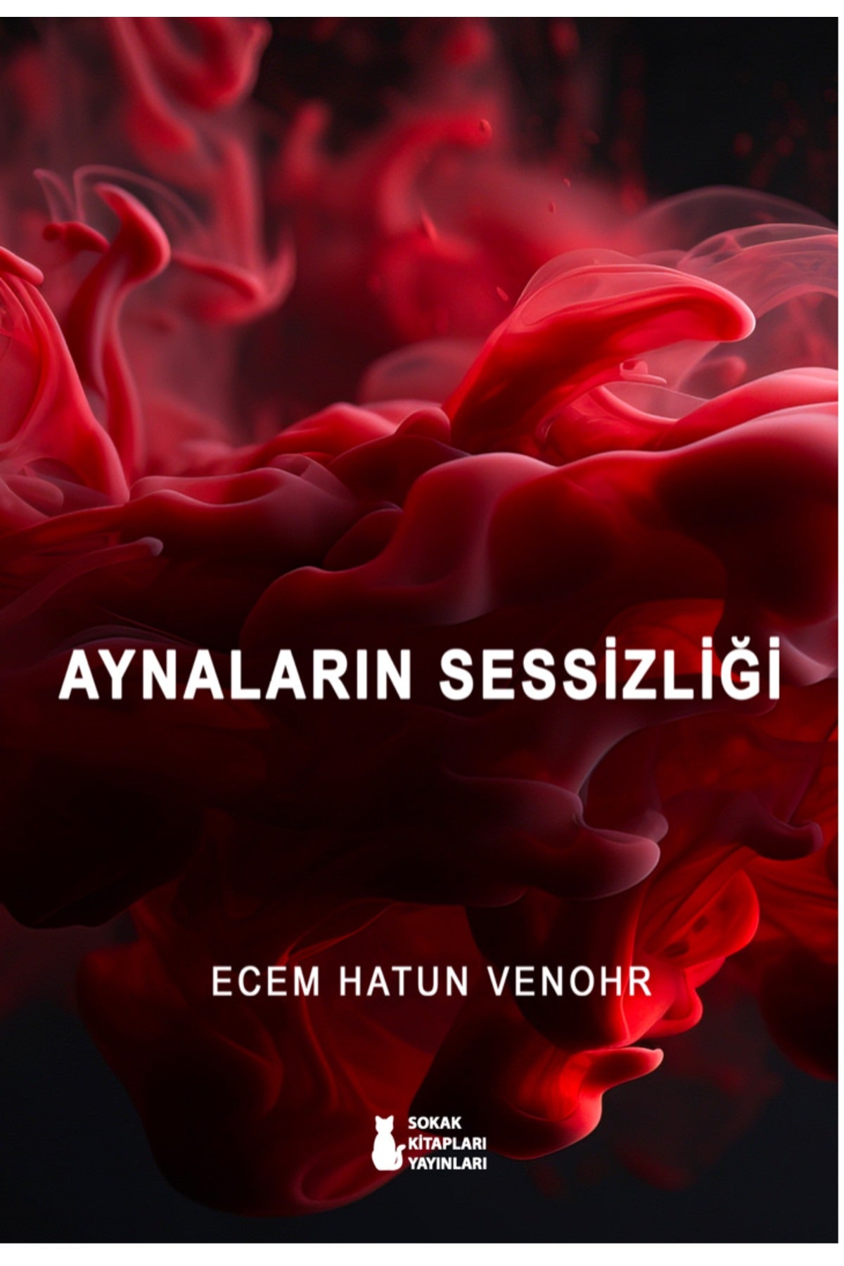 Aynaların Sessizliği | Sokak Kitapları Yayınları (İnce Kapak)