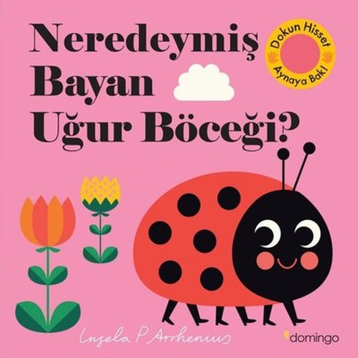 Neredeymiş Bayan Uğur Böceği? Dokun Hisset Aynaya Bak! | Domingo Yayınevi