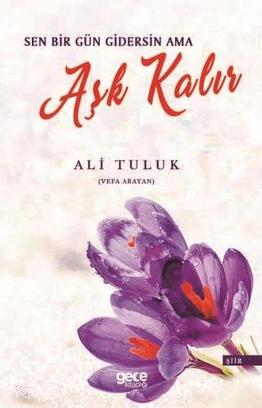 Sen Bir Gün Gidersin Ama Aşk Kalır | Gece Kitaplığı (Ciltsiz)