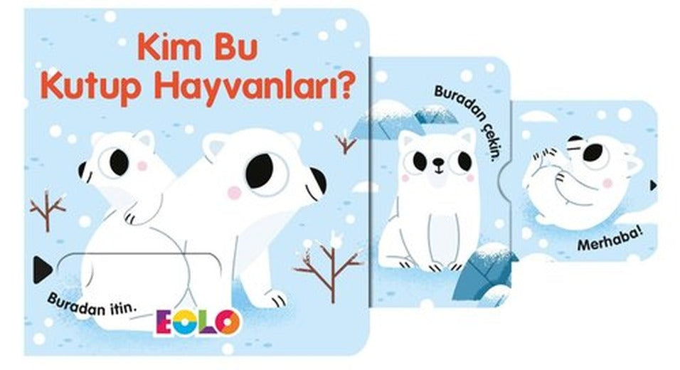 Kim Bu Kutup Hayvanları? | Eolo (İnce Kapak)