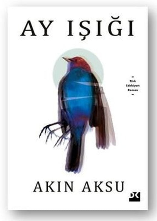 Ay Işığı | İkinci Adam Yayınları