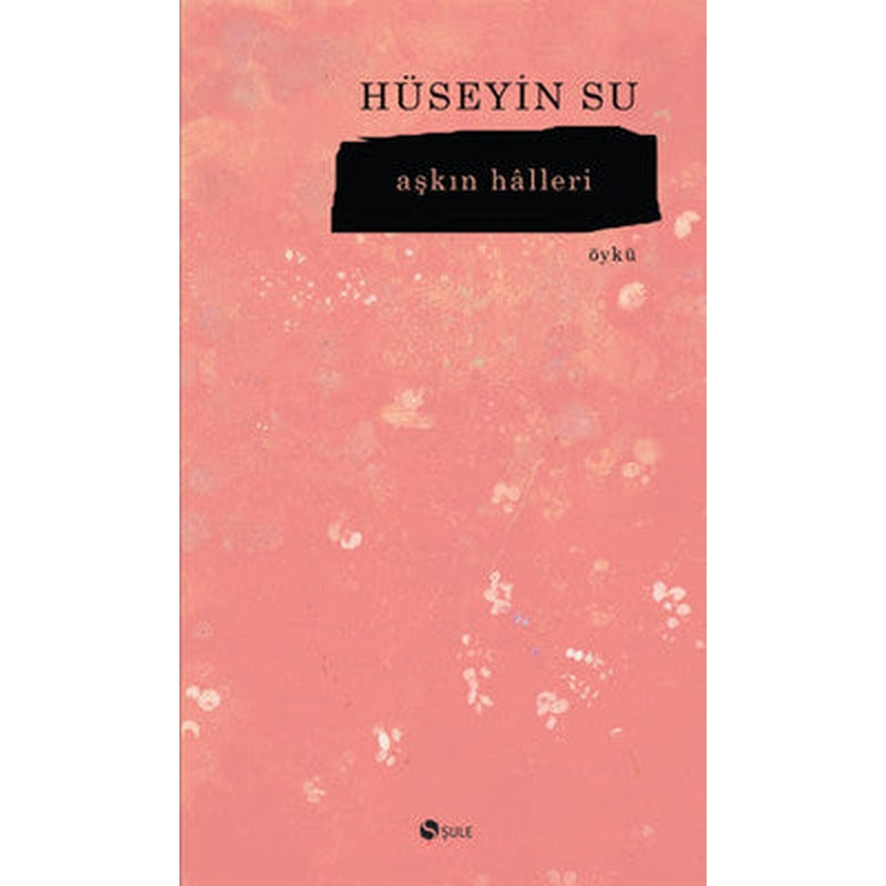 Aşkın Halleri | Şule Yayınları