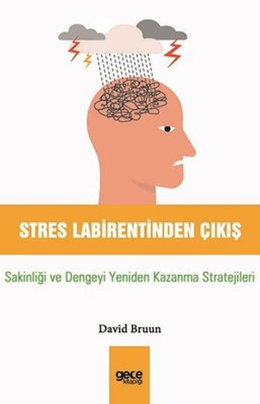 Stres Labirentinden Çıkış - Sakinliği ve Dengeyi Yeniden Kazanma Stratejileri | Gece Kitaplığı