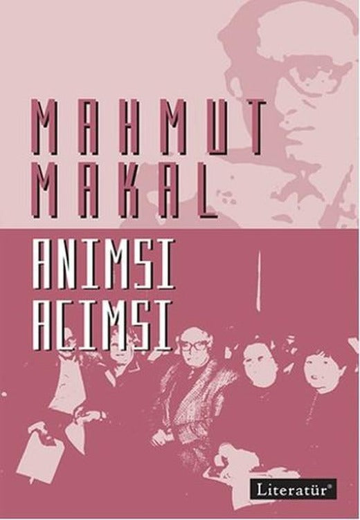 Anımsı Acımsı | Literatür Yayıncılık (İnce Kapak)