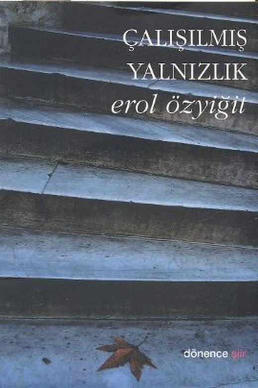 Çalışılmış Yalnızlık | Dönence Basım ve Yayın Hizmetleri (İnce Kapak)