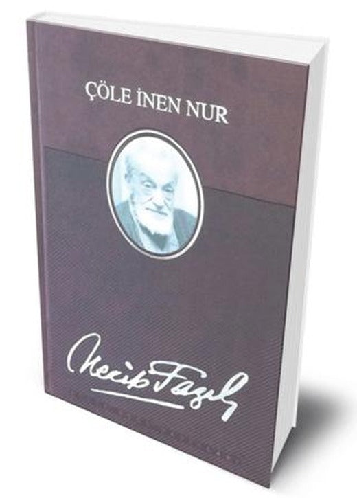 Çöle İnen Nur (Deri Cilt)