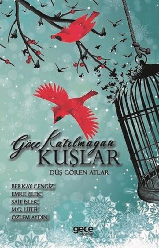 Göçe Katılmayan Kuşlar | Gece Kitaplığı (Ciltsiz)