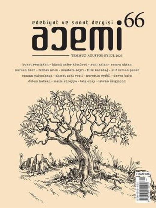 Acemi Edebiyat ve Sanat Dergisi Sayı 66 | Acemi Dergisi (Ciltsiz)