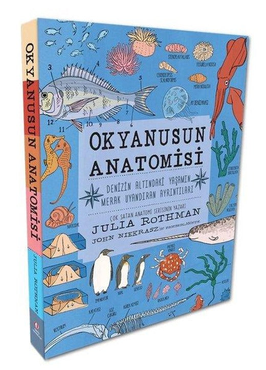 Okyanusun Anatomisi - Denizin Altındaki Yaşamın Merak Uyandıran Ayrıntıları | ODTÜ Yayıncılık (İnce Kapak)