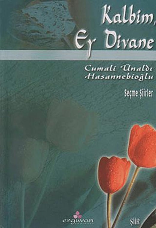 Kalbim, Ey Divane