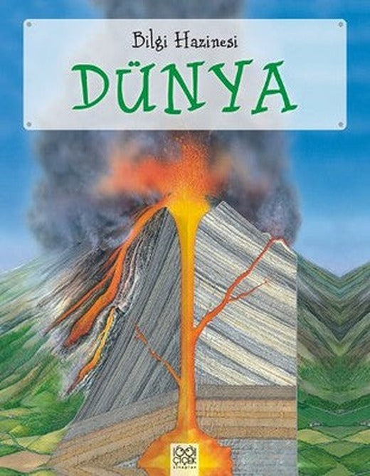 Bilgi Hazinesi Dünya | 1001 Çiçek