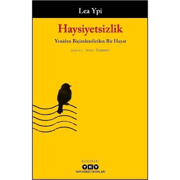Haysiyetsizlik - Yeniden Biçimlendirilen Bir Hayat | Yapı Kredi Yayınları (İnce Kapak)
