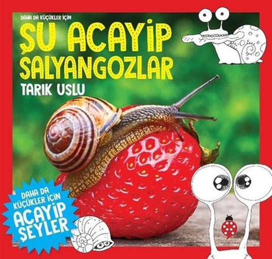 Daha da Küçükler İçin Şu Acayip Salyangozlar | Uğurböceği