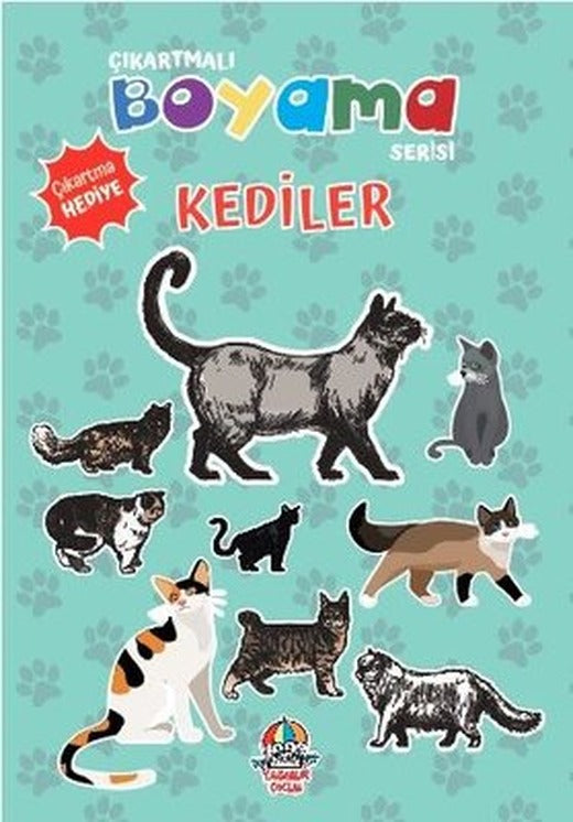 Kediler - Çıkartmalı Boyama Serisi | Yağmur Çocuk