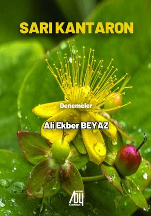 Sarı Kantaron | Baygenç Yayıncılık (Ciltsiz)