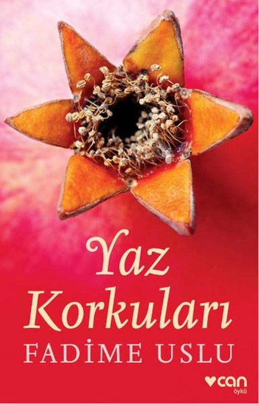 Yaz Korkuları | Can Yayınları - Öykü Dizisi (e-Kitap)
