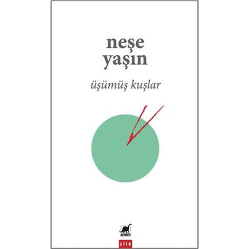 Üşümüş Kuşlar | Ayrıntı Yayınları