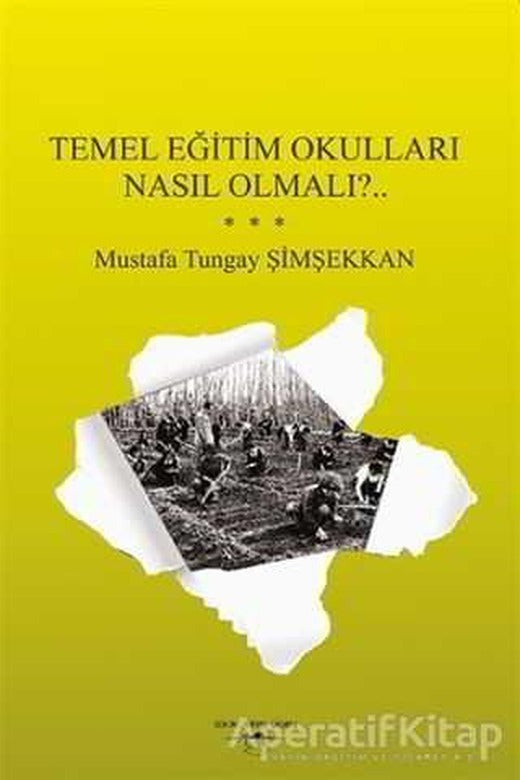 Temel Eğitim Okulları Nasıl Olmalı?.. - Mustafa Tungay Şimşekkan - Sokak Kitapları Yayınları | Sokak Kitapları Yayınları