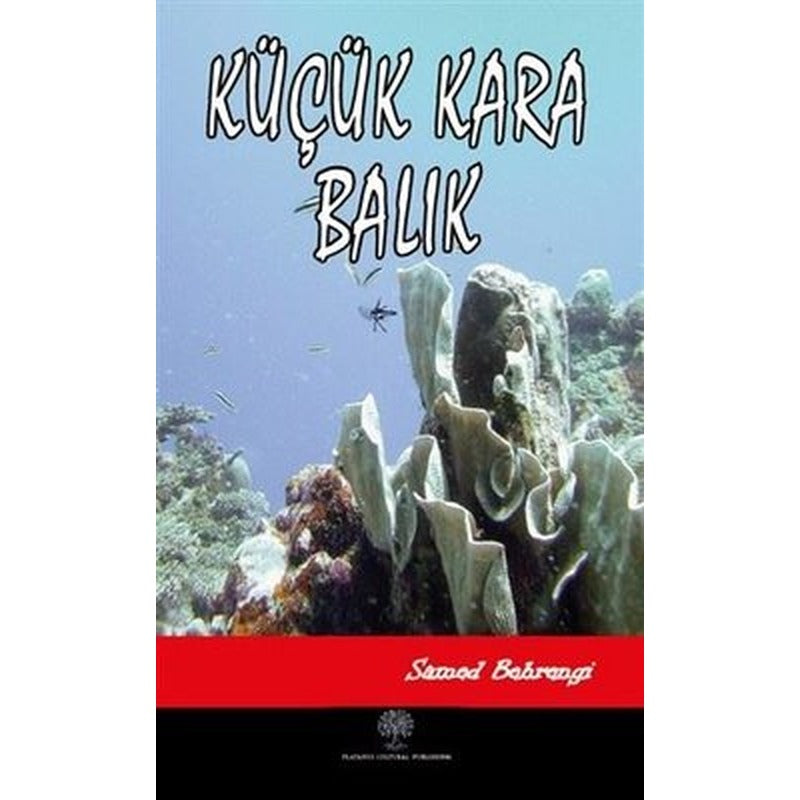 Küçük Kara Balık | Platanus Publishing