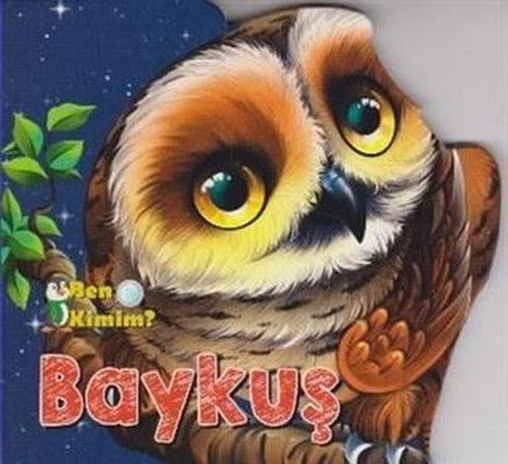 Ben Kimim - Baykuş | Parıltı Yayınları