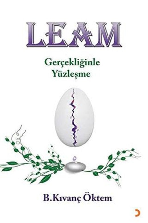 Leam - Gerçekliğinde Yüzleşme | Cinius Yayınları (Ciltsiz)
