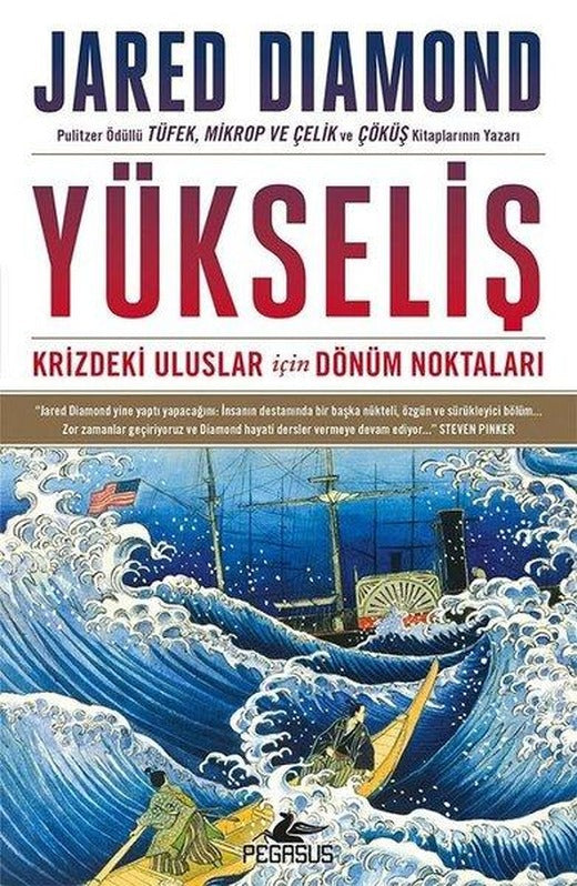 Yükseliş Krizdeki Uluslar İçin Dönüm Noktaları | Pegasus (İnce Kapak)