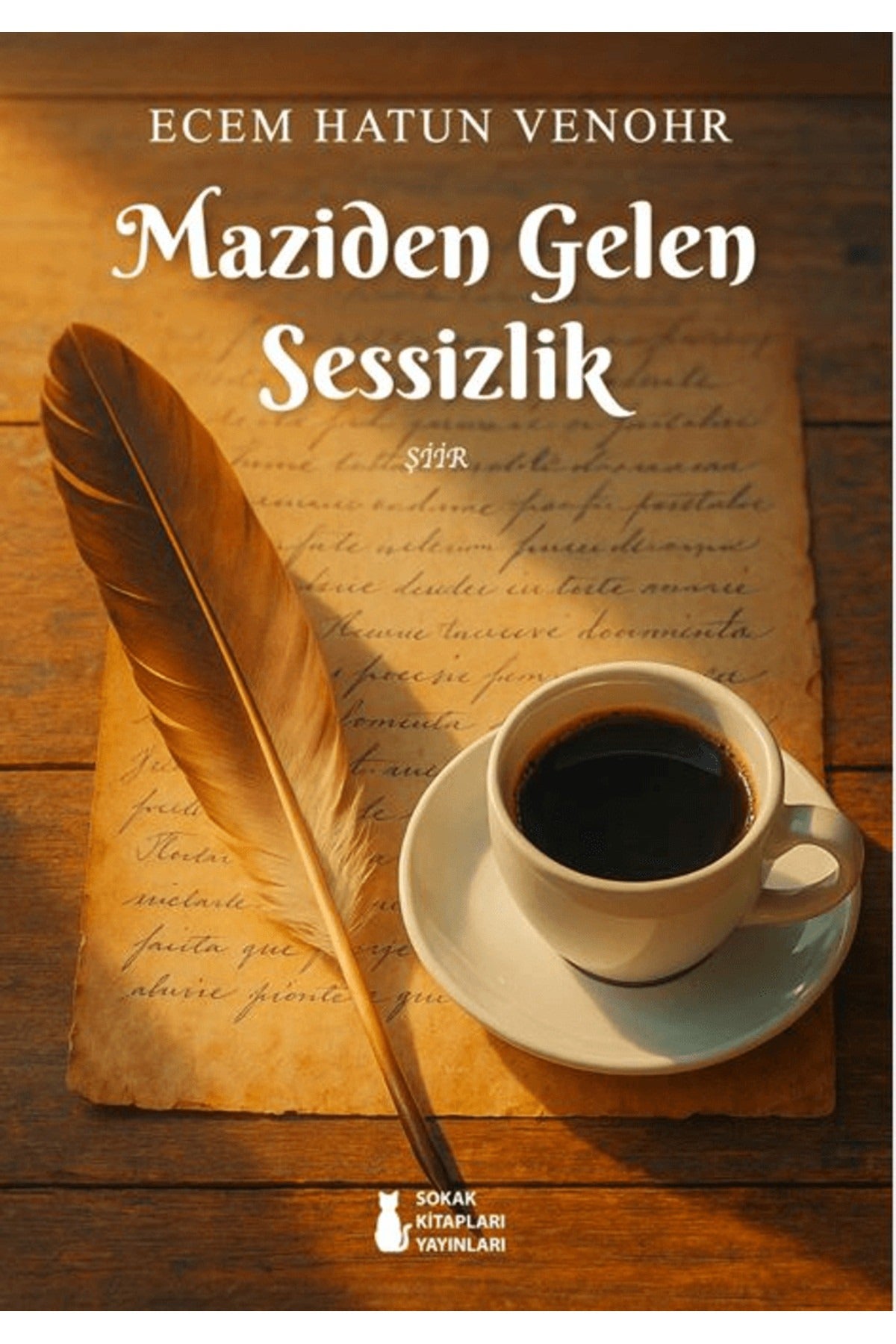 Maziden Gelen Sessizlik | Sokak Kitapları Yayınları (İnce Kapak)