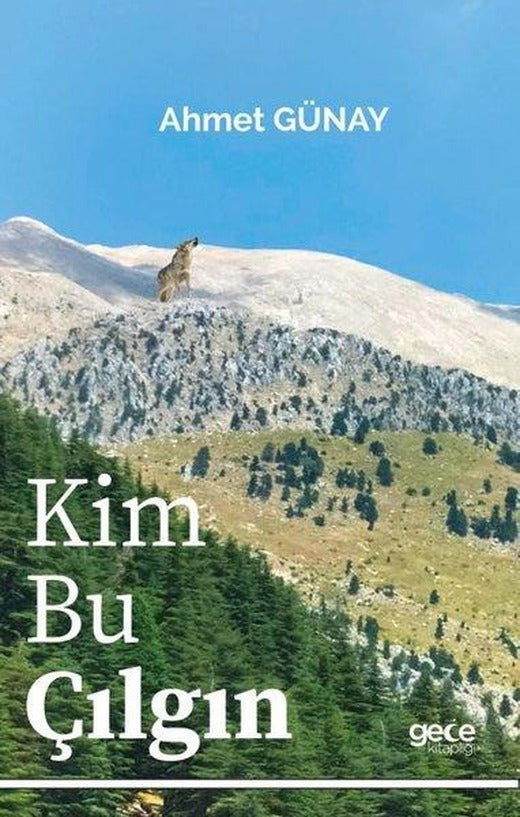 Kim Bu Çılgın | Gece Kitaplığı (İnce Kapak)