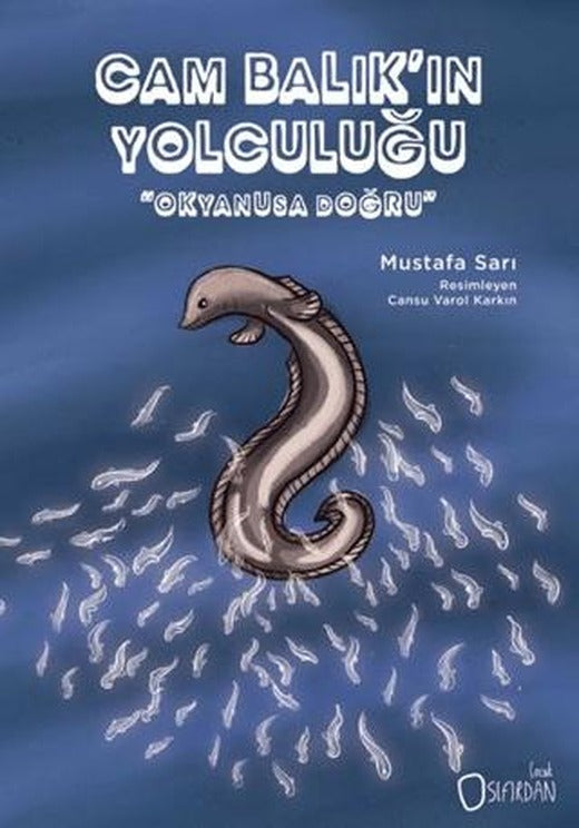 Cam Balık'ın Yolculuğu | Sıfırdan Yayınları (Ciltsiz)