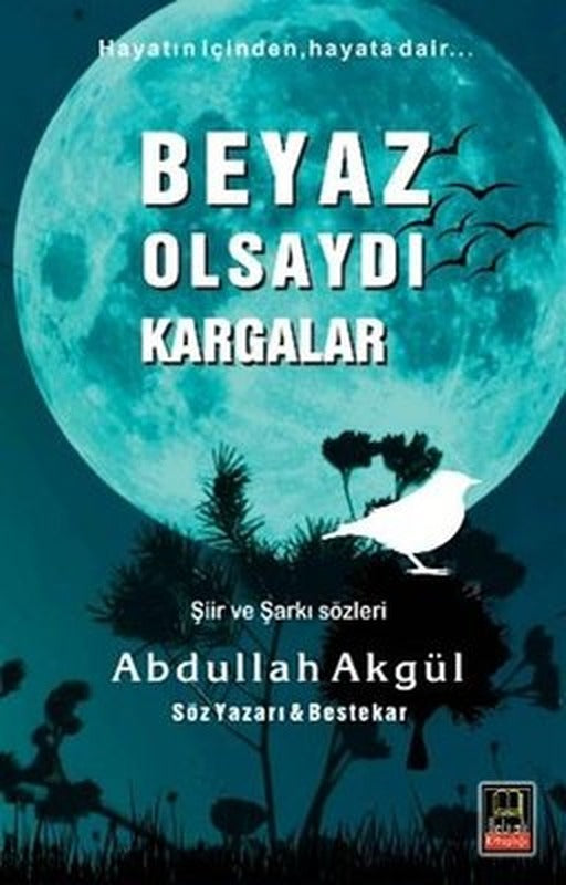 Beyaz Olsaydı Kargalar | Babıali Kitaplığı (İnce Kapak)
