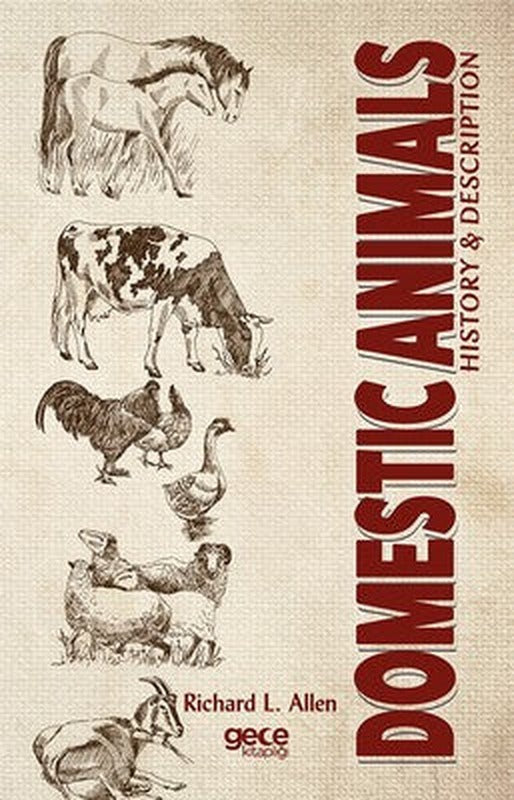 Domestic Animals | Gece Kitaplığı