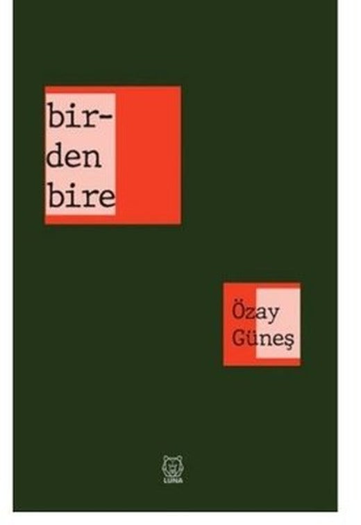 Birdenbire | Luna Yayınları