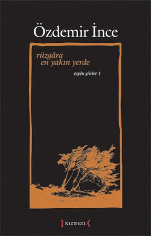 Rüzgara En Yakın Yerde | Kırmızı Yayınları - Şiir Dizisi (İnce Kapak)