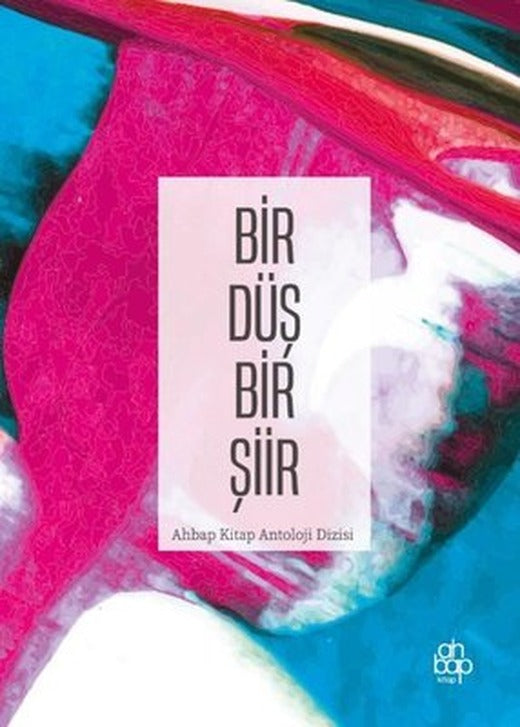 Bir Düş Bir Şiir | Ahbap Kitap