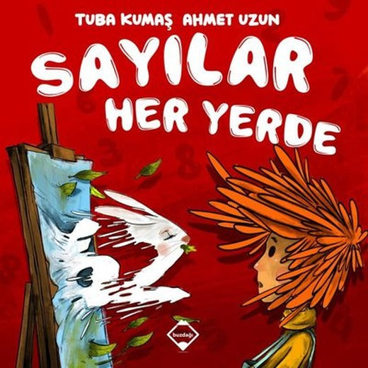 Sayılar Her Yerde | Buzdağı Yayınevi