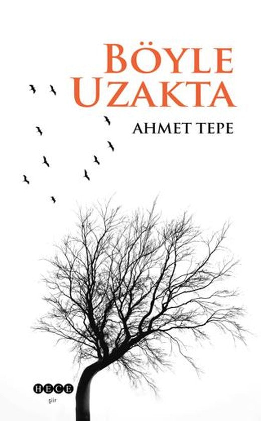 Böyle Uzakta | Hece Yayınları (Ciltsiz)