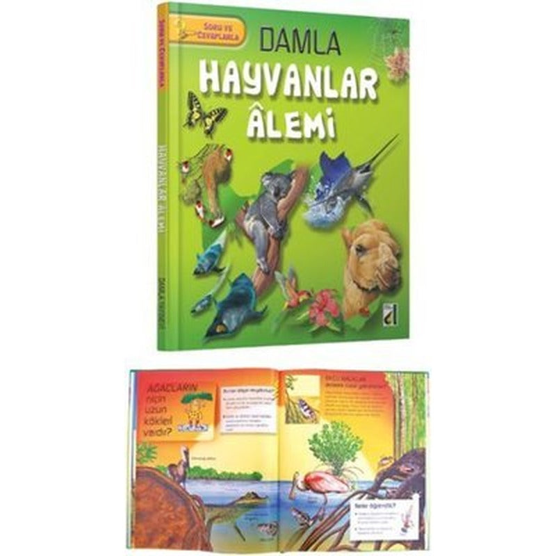 Damla - Hayvanlar Alemi | Damla Yayınevi