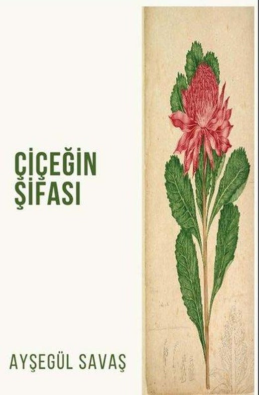 Çiçeğin Şifası | Platanus Publishing (İnce Kapak)